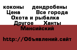 коконы    дендробены › Цена ­ 25 - Все города Охота и рыбалка » Другое   . Ханты-Мансийский